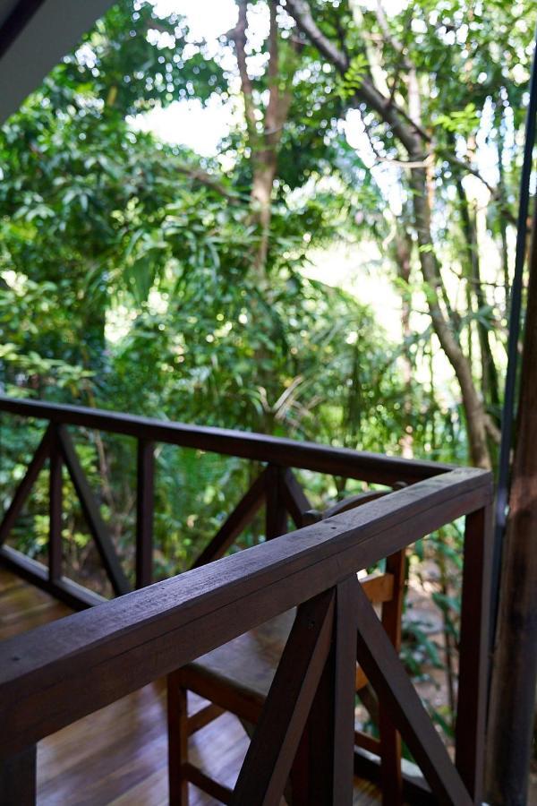 Luz En El Cielo Eco-B&B/Hostel Montezuma Esterno foto